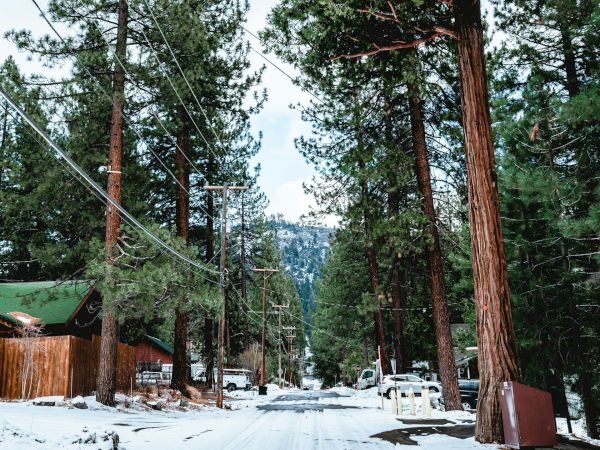 A snow-covered street lined with tall pine trees, houses, and utility poles on both sides, leading towards a mountainous background.