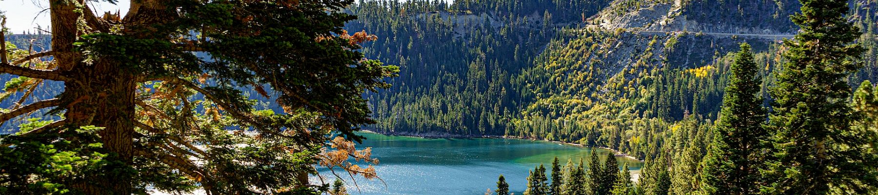 A scenic view of a forested area with a lake in the background, surrounded by dense trees and hills under a clear blue sky.