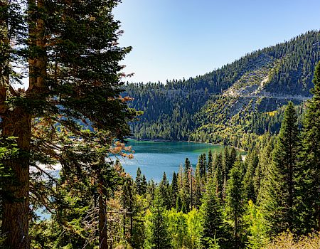 A scenic view of a forested area with a lake in the background, surrounded by dense trees and hills under a clear blue sky.