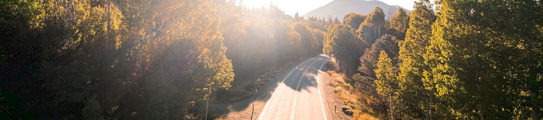 A lone motorcyclist rides along a scenic road surrounded by trees with the sun setting in the background, casting long shadows on the pavement.