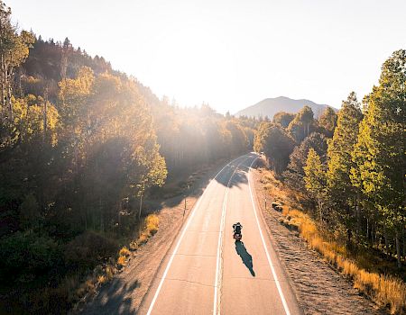 A lone motorcyclist rides along a scenic road surrounded by trees with the sun setting in the background, casting long shadows on the pavement.