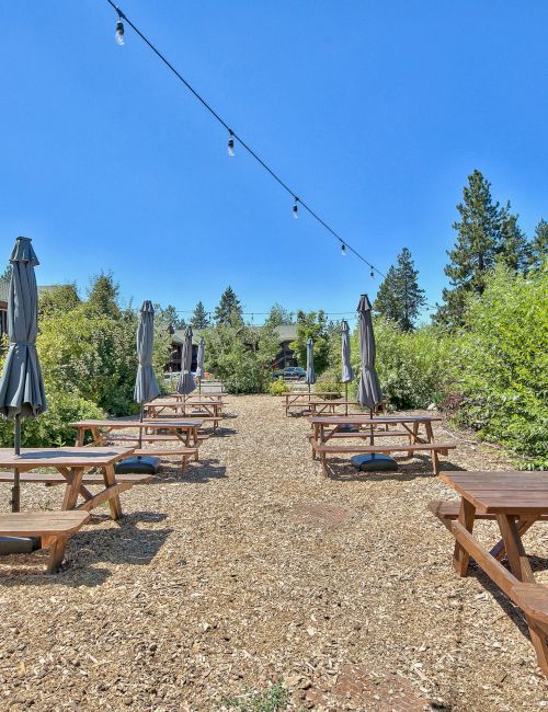 The image shows outdoor picnic tables with closed umbrellas, surrounded by greenery, in a sunny setting near a building with colorful chairs.