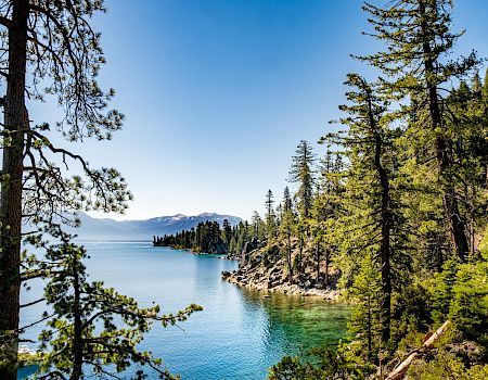 A scenic landscape featuring a clear blue lake surrounded by trees and mountains under a bright blue sky. The water is calm and reflective.